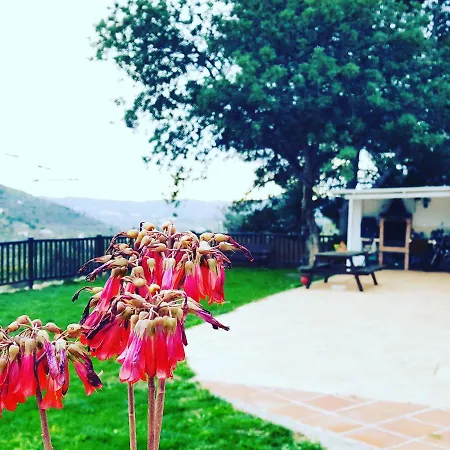 Casa Molina ロッジ *