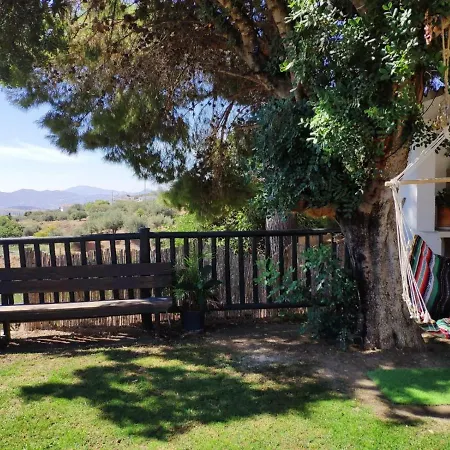Casa Molina ロッジ Alcaucín